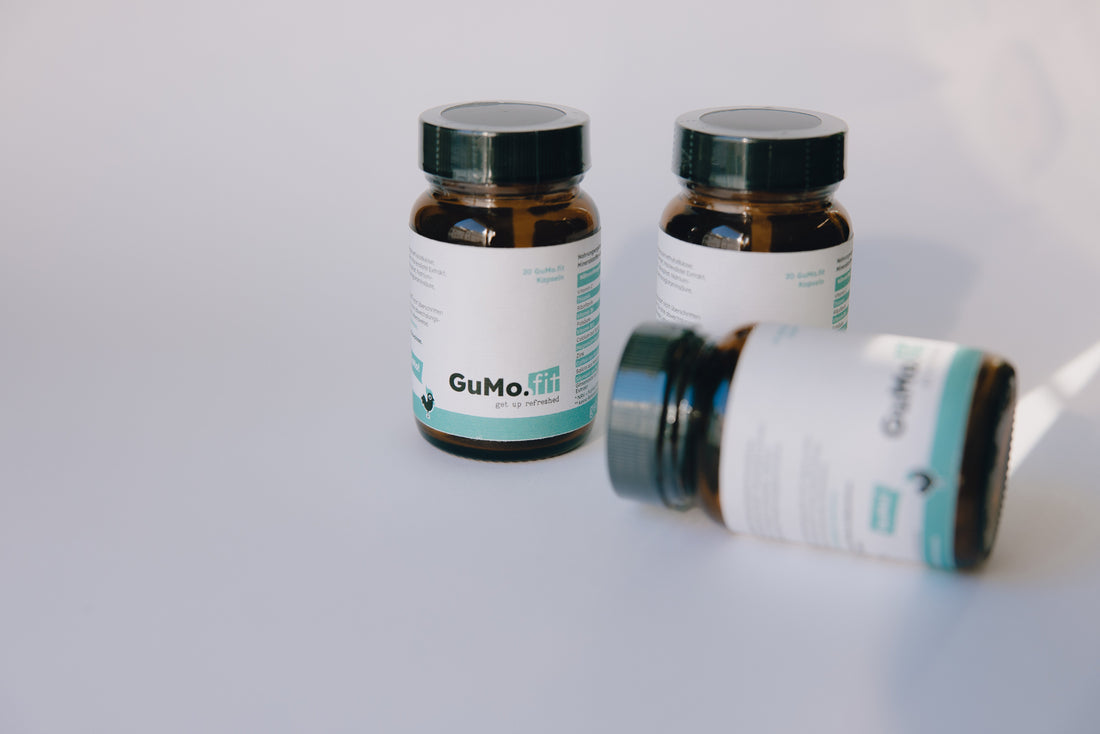 Was ist GuMo.fit und warum schwören so viele darauf?
