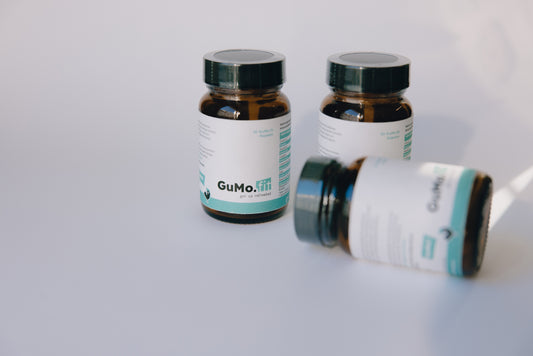 Was ist GuMo.fit und warum schwören so viele darauf?
