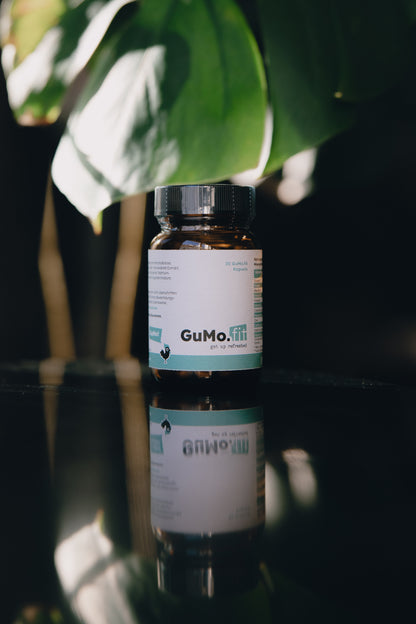 GuMo.Fit