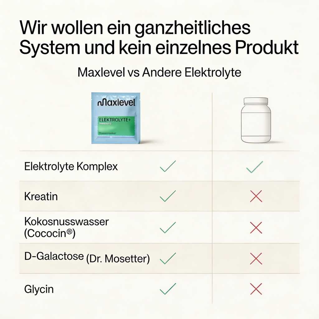 Elektrolyte, Kreatin und Recovery